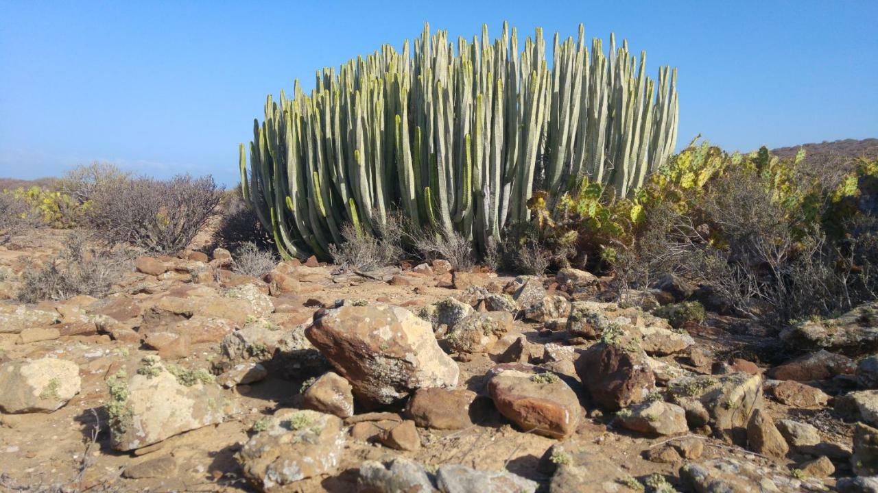 C101 Los Balandros بالم مار المظهر الخارجي الصورة